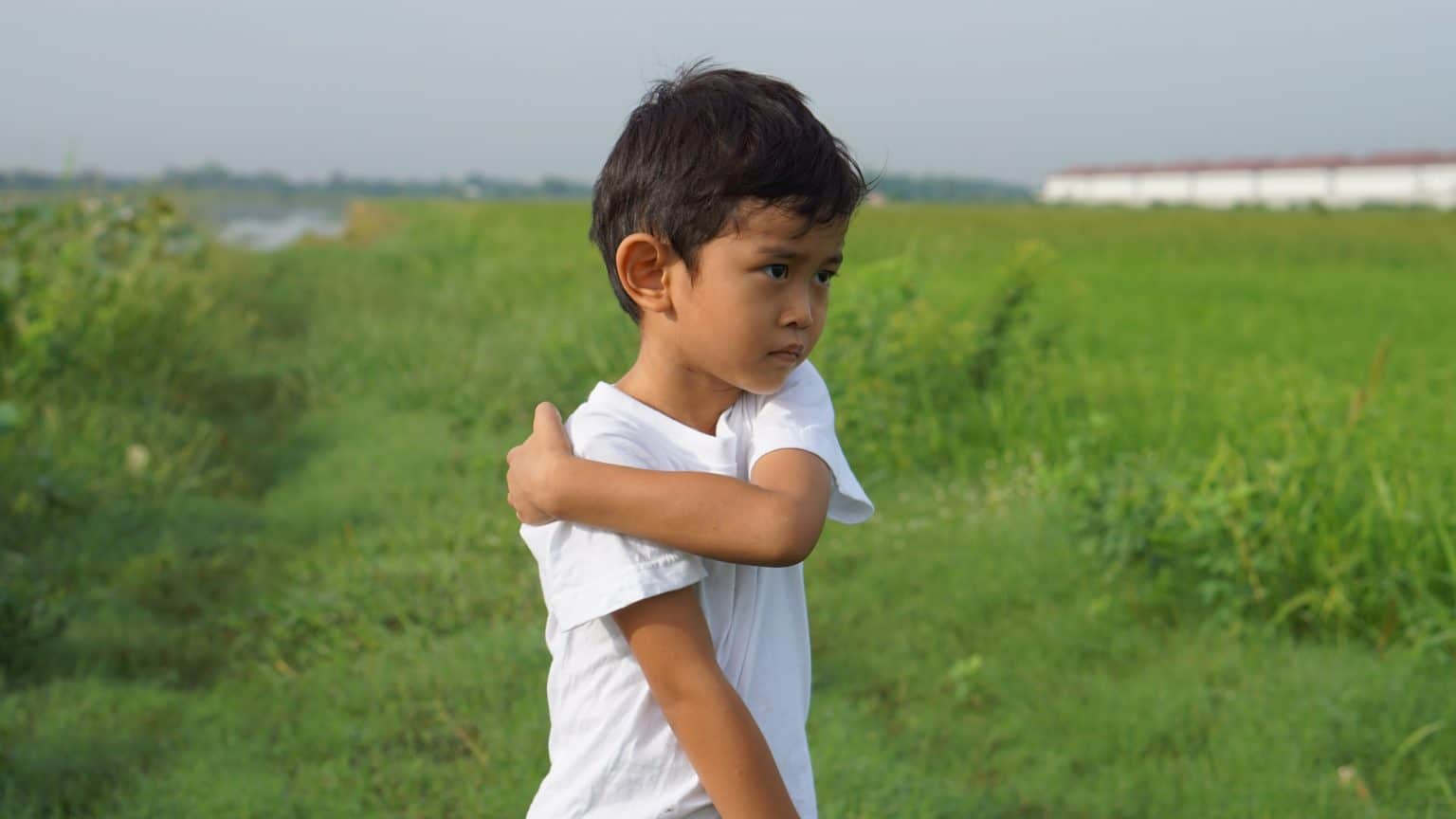 Bolton Ranked #1 in List of UK’s Allergy-Prone Cities