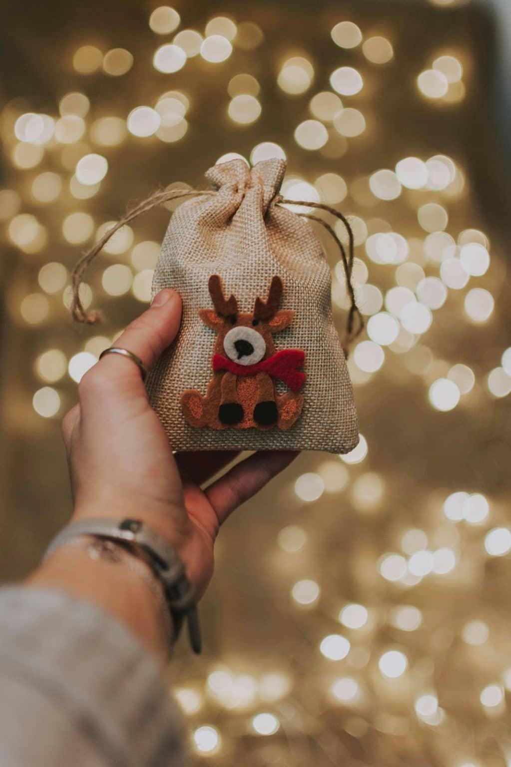 Keep pests away this Christmas with this reindeer food