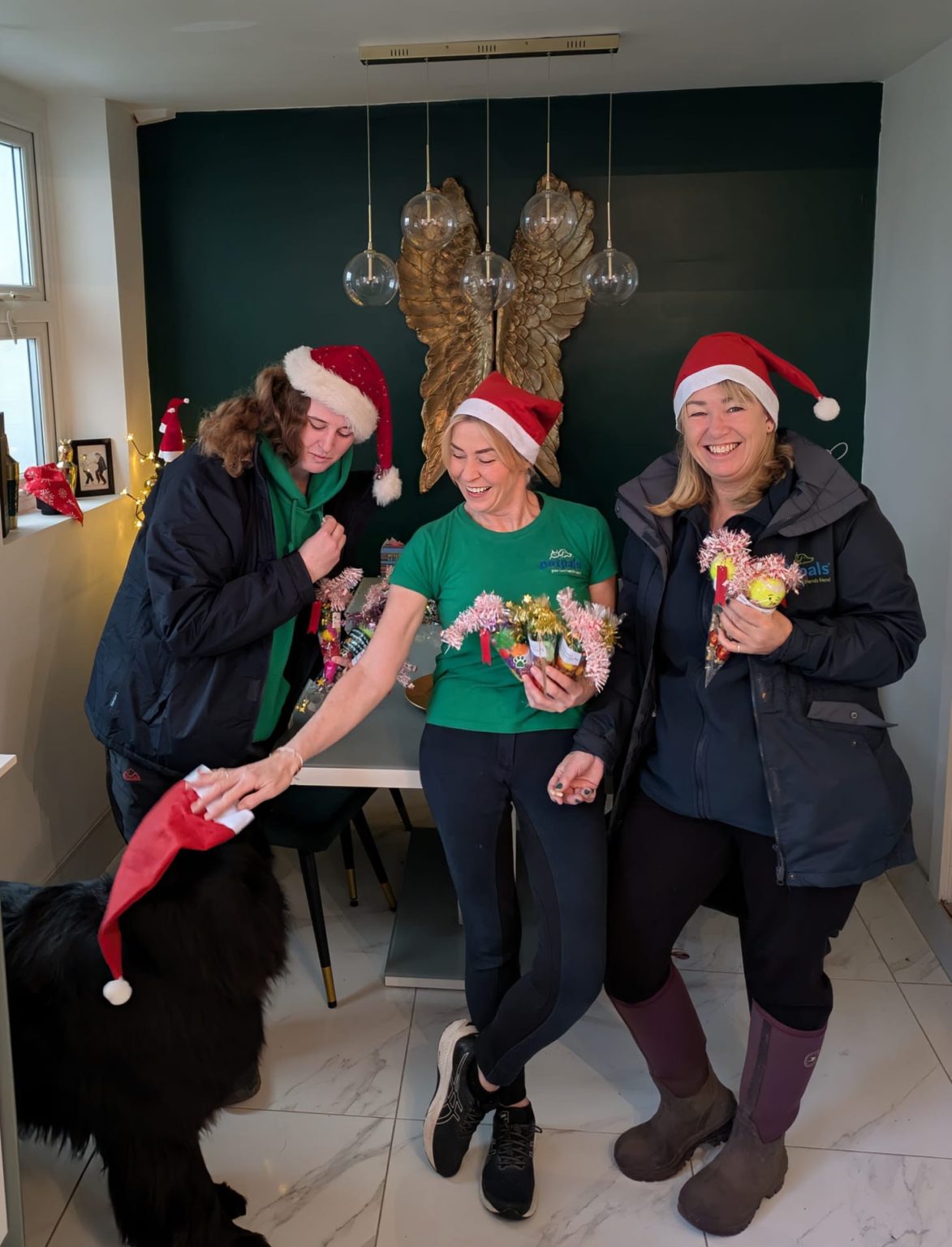 Recognition and festive cheer round out a successful year for Petpals