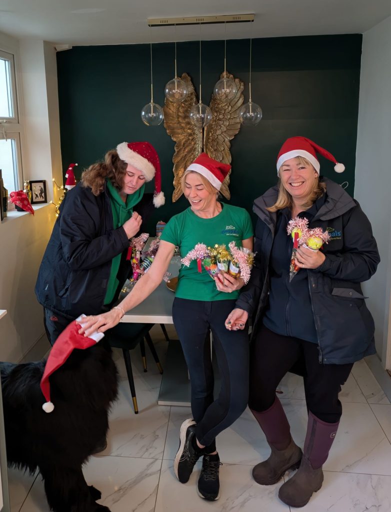 Recognition and festive cheer round out a successful year for Petpals
