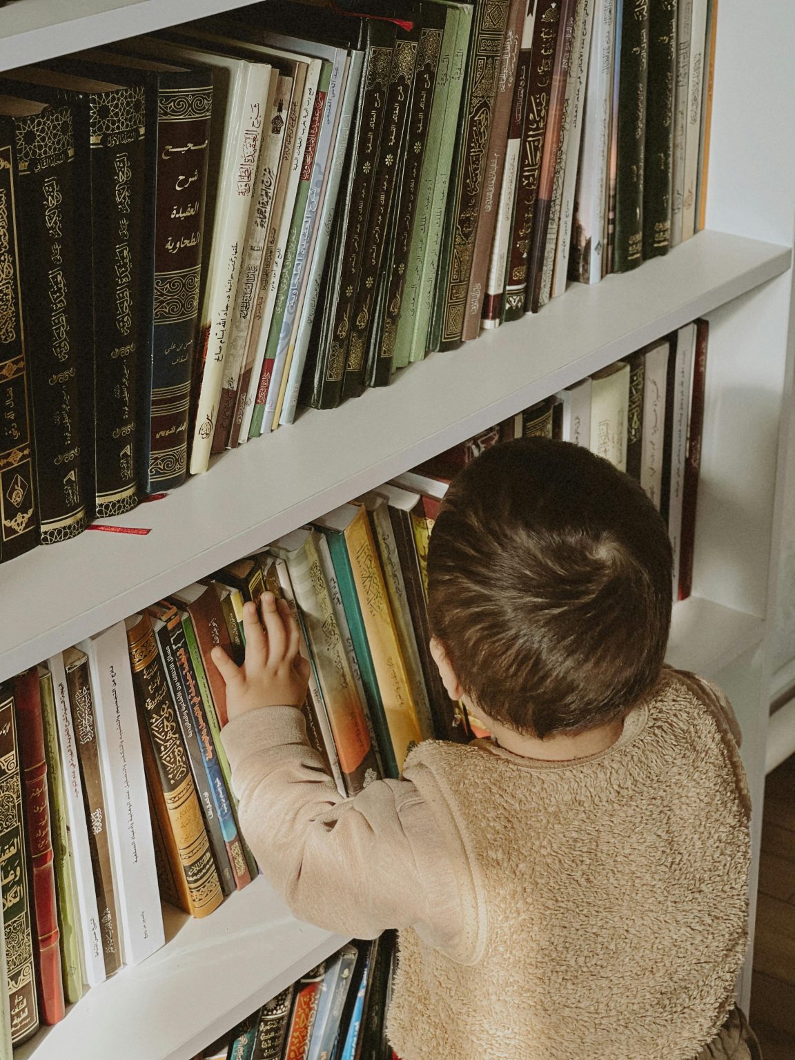 The must have book to safeguard your family’s online peace this summer