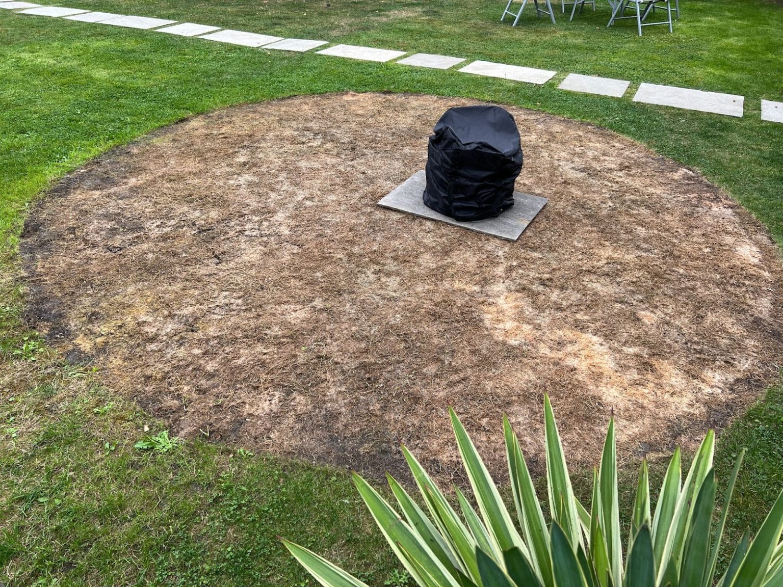 Expert advises on how to protect your lawn as summer heat is round the corner