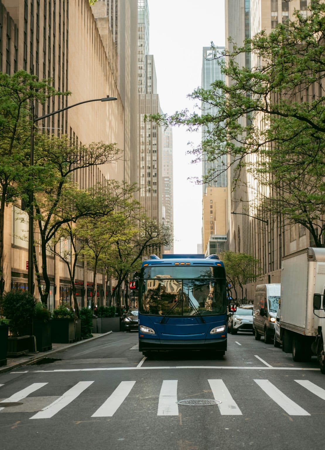 New York Charter Bus Rental for Educational Tours and Student Travel